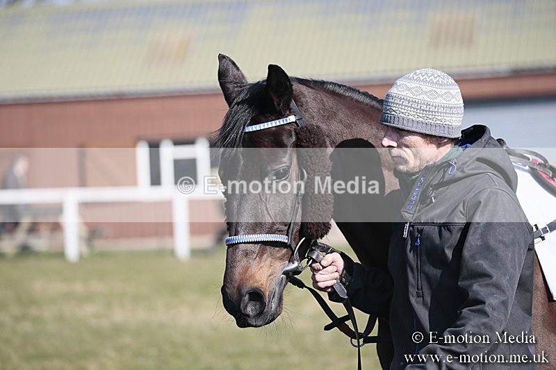 PtP 240218 120 - Vine & Craven Hunt Point-to-Point Barbury racecourse 24/02/18