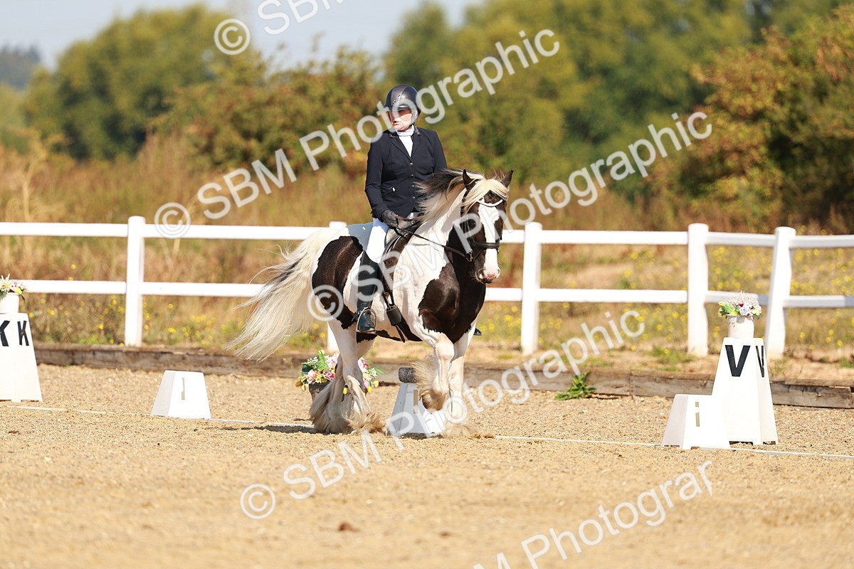 SBM_016743 - Class 9 - N5 Bronze 9.30.10.19