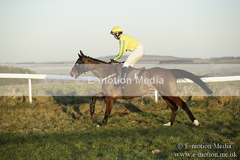 PtP 070118 -780 - Larkhill Racing Club Point to Point Larkhill 07/01/2018