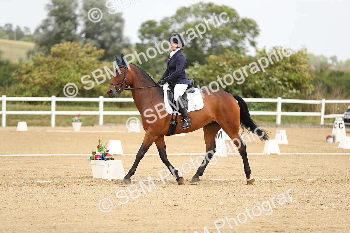 SBM_017328 - Class 13 - Novice 23 - 13.31-14.13