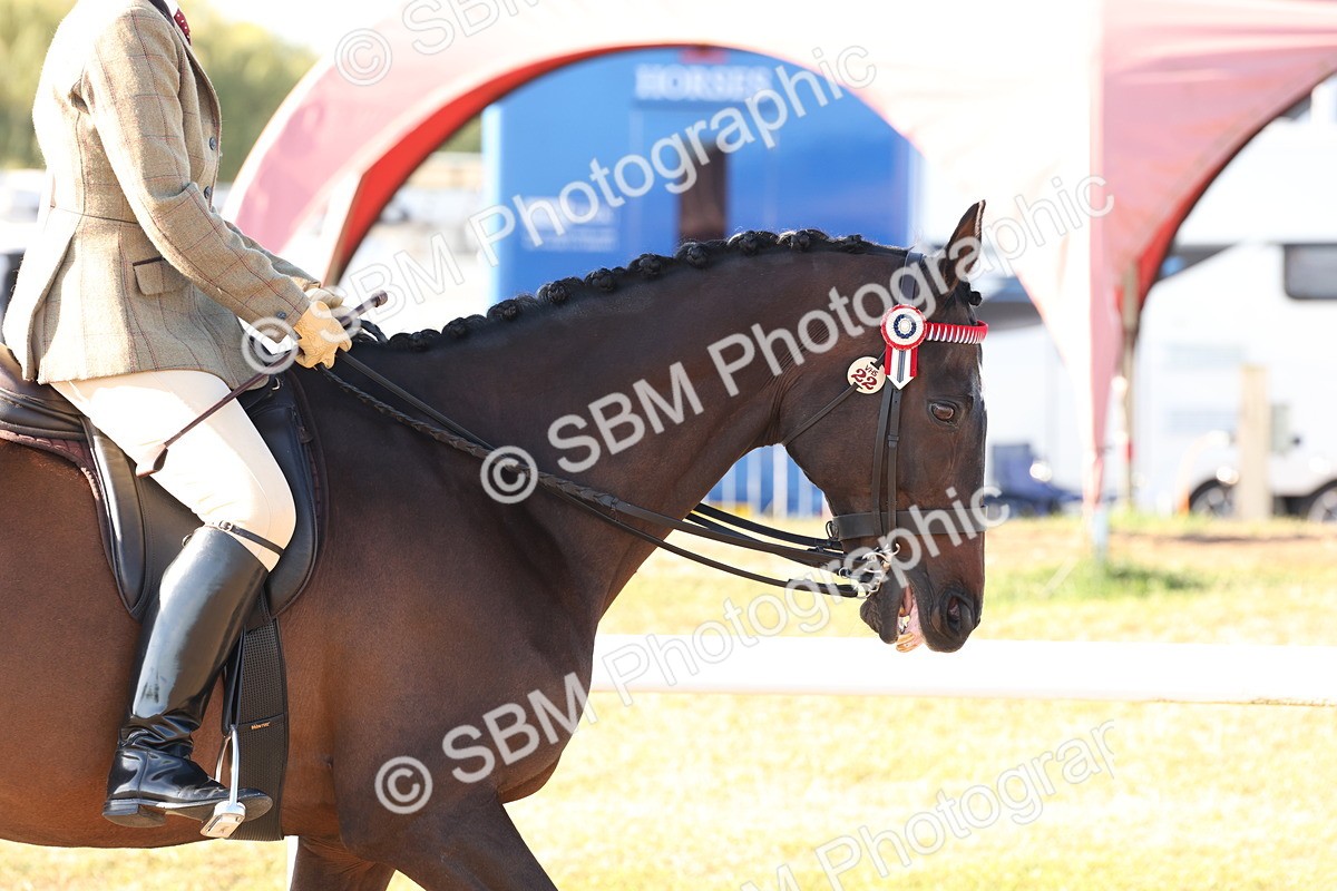 SBM_10827 - Class 202 - Best Turned Out - Ridden