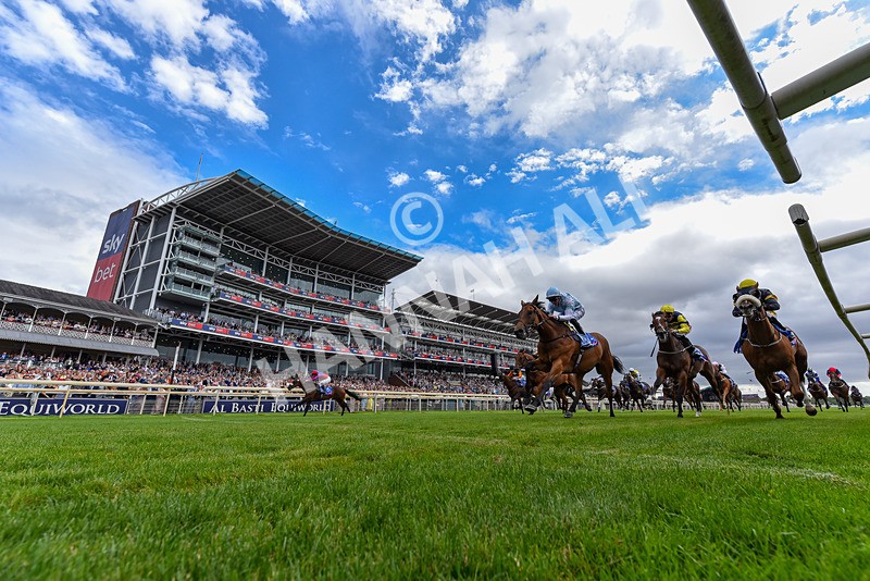 250726-Race 2-Stratusnine-3993 - Race 2 14.00pm Sky Bet Dash