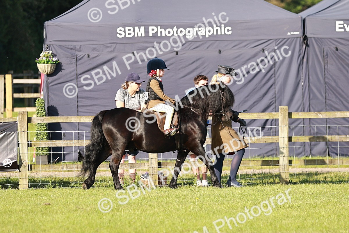 SBM_11001 - Class 106-107 - BSPS LIHS Working Sports Pony