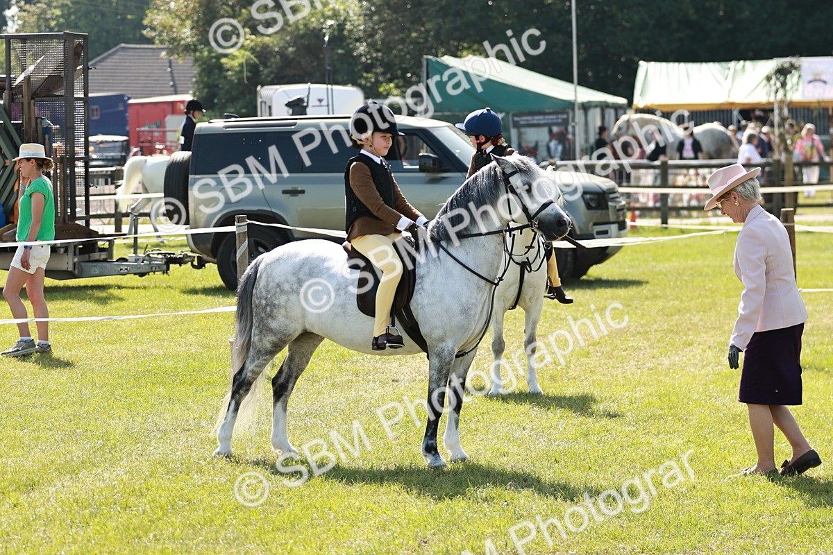 SBM_12706 - Class 106-107 - BSPS LIHS Working Sports Pony