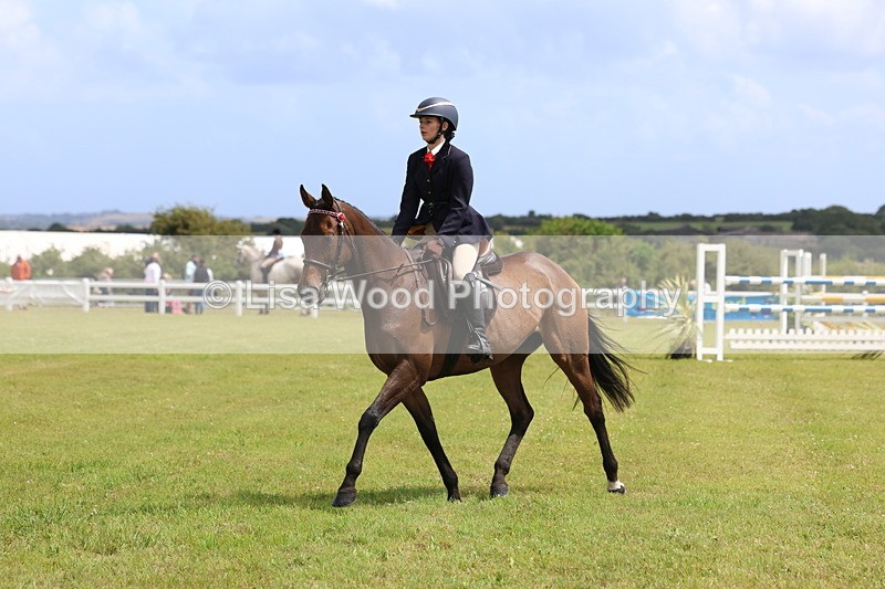 3E7A2355 - Class 11: Retraining of Racehorse