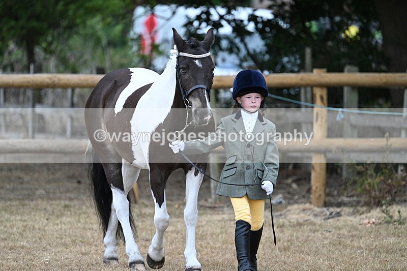 WJ7_9435 - Class 5 Most Handsome Gelding (up to 14.2hh)