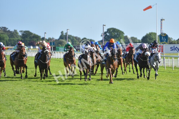 yr12062021r7-18 - Race 7 5.25pm Sky Bet Stakes