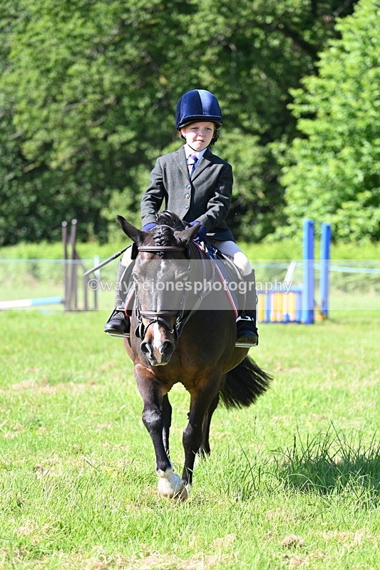WJ7_0356 - Class 8 First Rally Pony