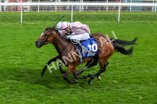 240823-Race 4-Warm Heart-5205 - Race 4 3.35pm Pertemps Network Yorkshire Oaks