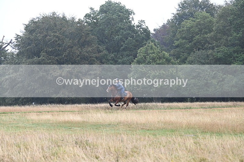 DSC_1019 - Time at Statue 10:58 to 11:53