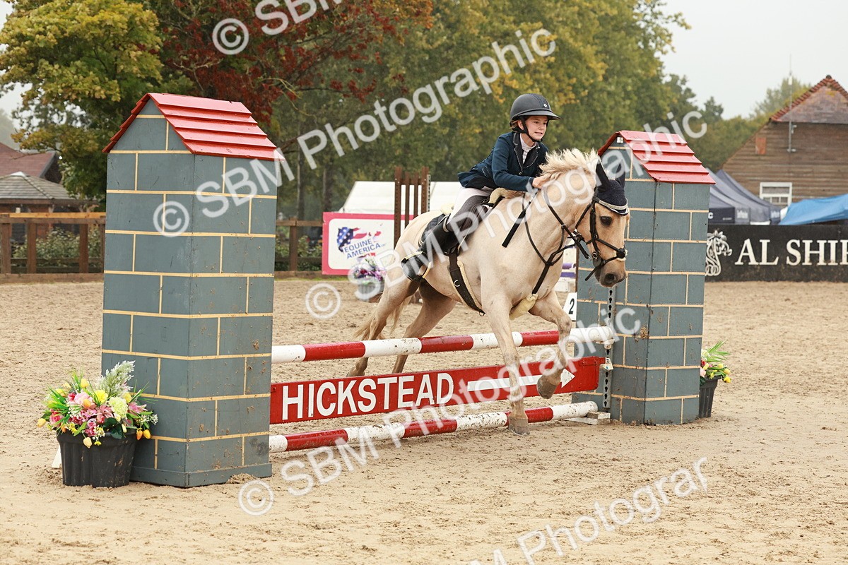 SBM_73310 - Supreme Championship Junior Pony 60cm & 65cm