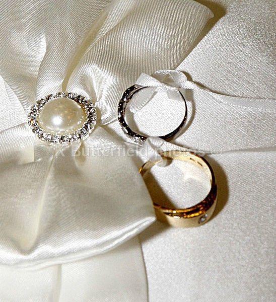  - Sean and Dinagh Wedding