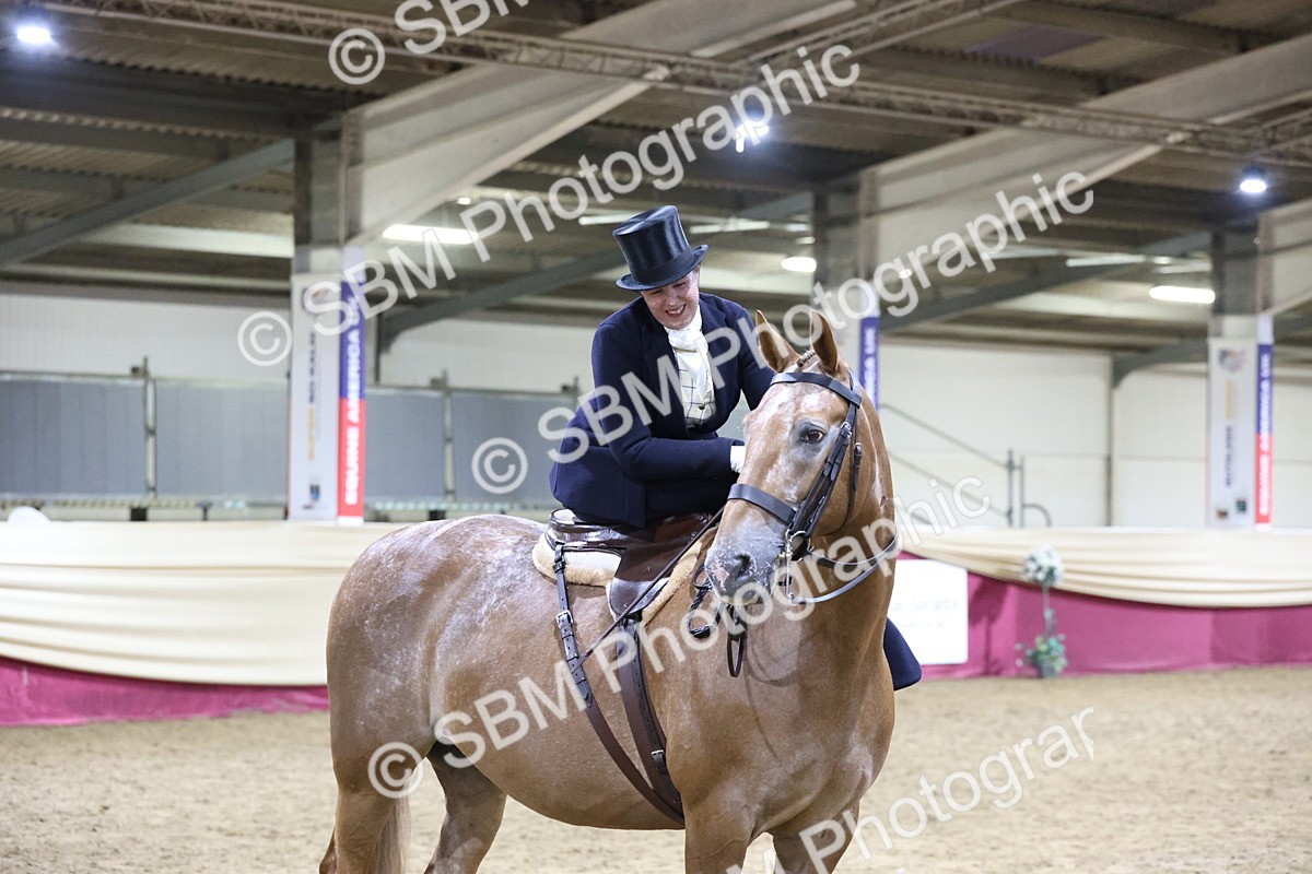 SBM_20984 - Class N - Side Saddle Champ
