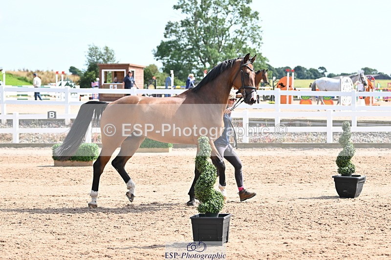 240717A-155743-03218 - Trot Up 3pm to 4pm