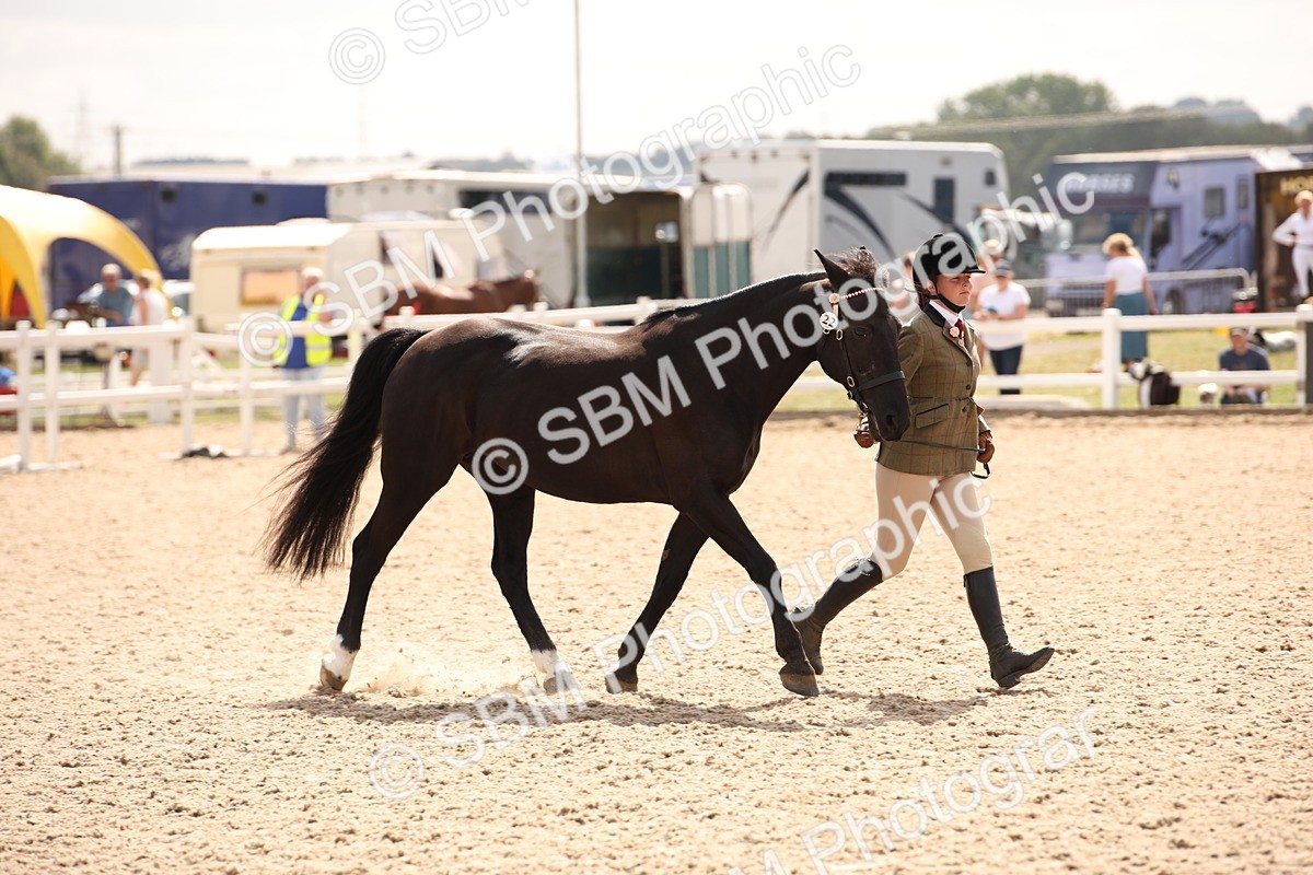 SBM_04621 - Class 20 IH Veteran