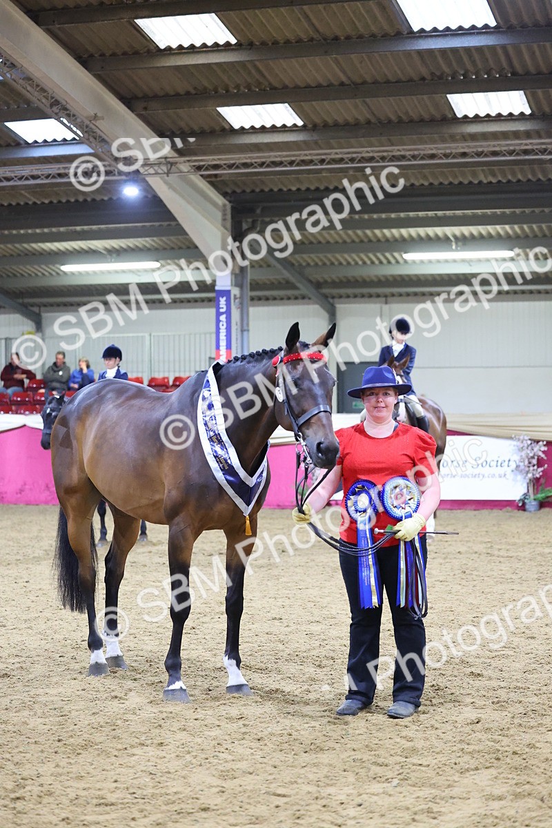 SBM_19182 - Class I Competition/ Riding Club Champ