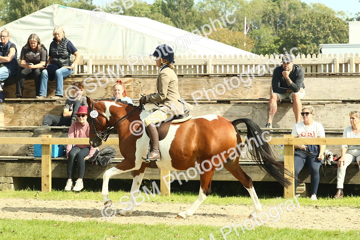 SBM_67511 - S56 - Coloured Pony Ridden