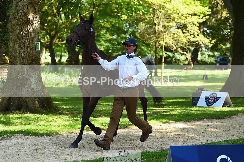 230524-153538-00377 - 361-FINCH_FANCY-Ben_Lee_Liles-WEDTrotUp+DR