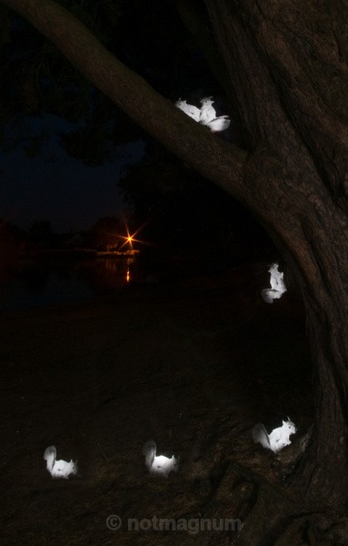  - NIGHT TIME