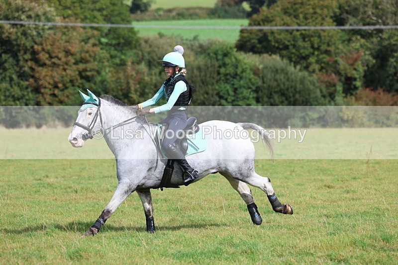 3E7A6422 - Class 1: Trebudannon Open: Pheasant Feeder