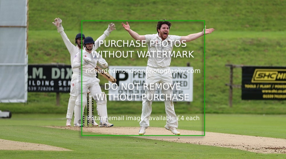 IMG_1710 - Cricket latest images