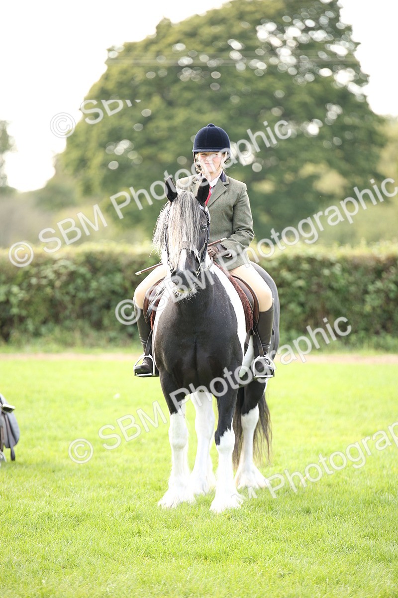 SBM_50240 - S26 - Young Veteran - Ridden