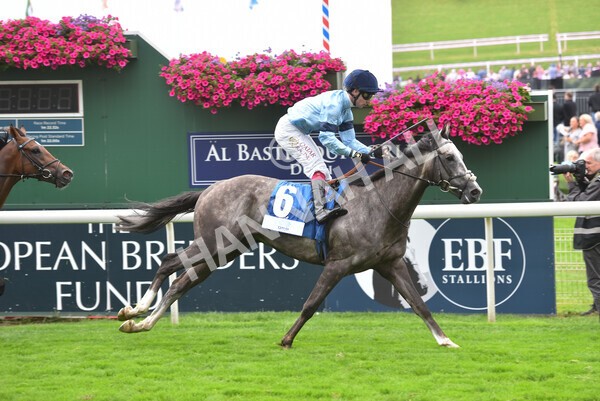 yr19082021r5-29 - Race 5 4.10pm OR8wellness ebfstallions Nursery Handicap
