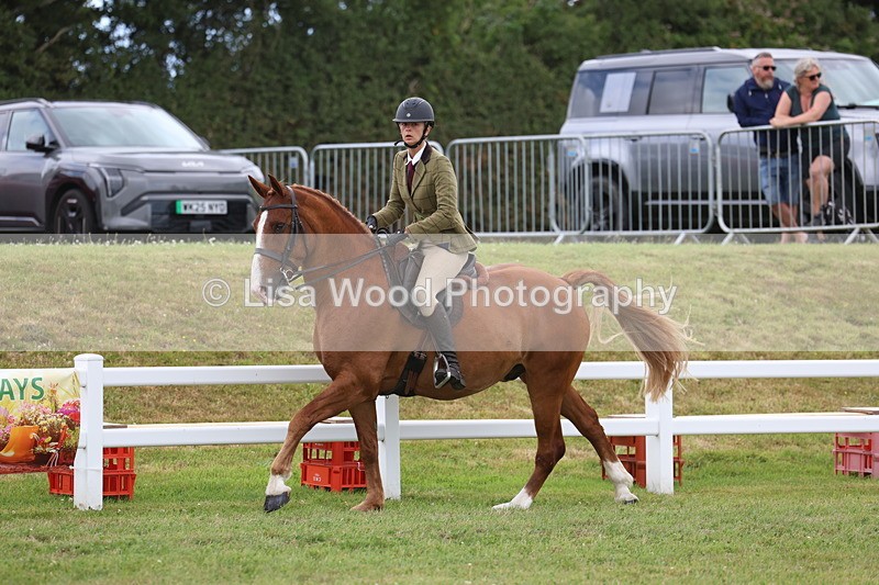 3E7A1467 - Class 9: Open Hunter