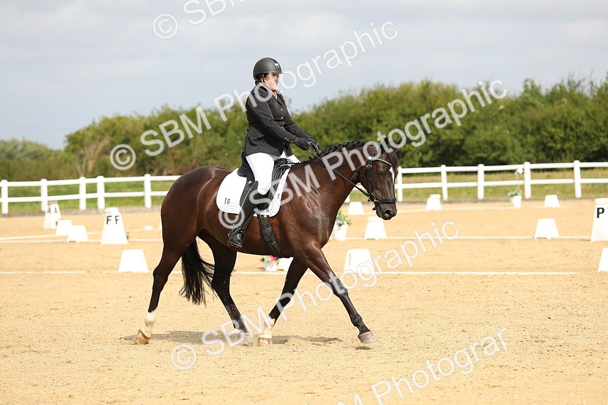 SBM_016274 - Class 13 - Novice 23 - 11.25-12.35