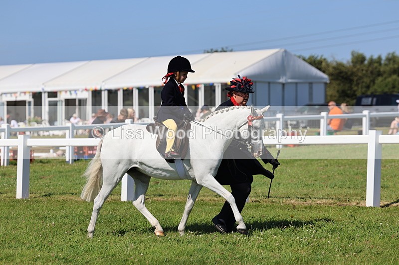 IMG_1846 - Plaited Mini Ridden Championship