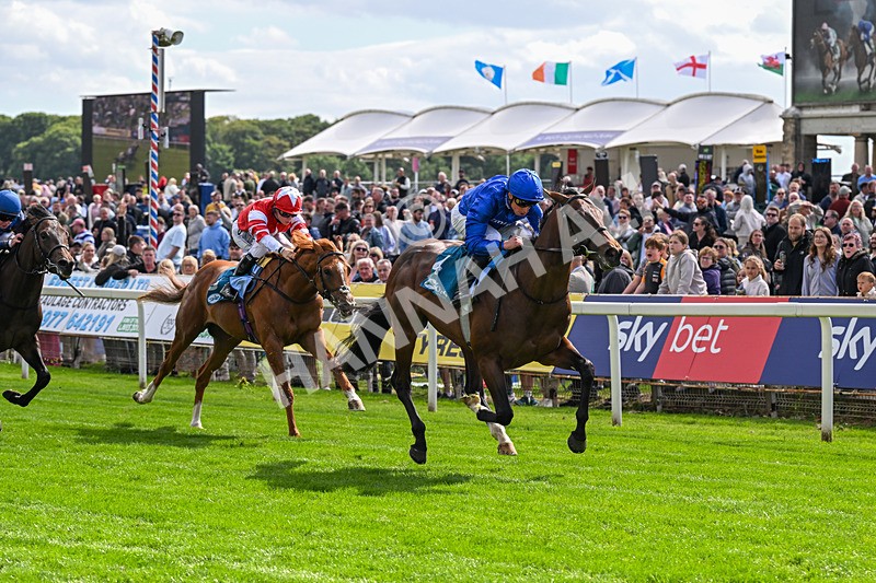 130626-Race 5-Inner City Blues-0591 - Race 5 16.15pm Tomahawk Restaurants Supporting Macmillan EBF Maiden Stakes