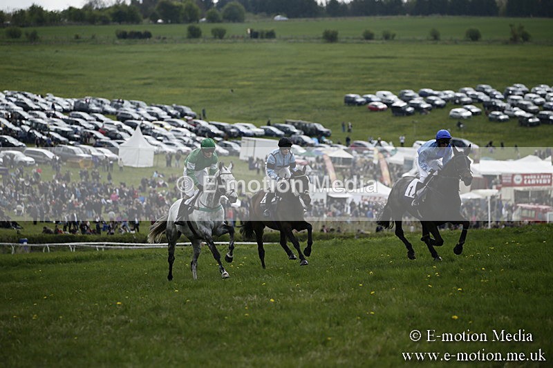 PtP 170417 69 - Old Berks Point-to-Point Lockinge 17/04/17
