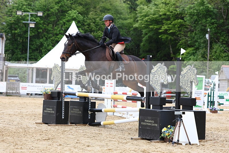 3E7A6152 - Class 4: Senior British Novice/90cm open