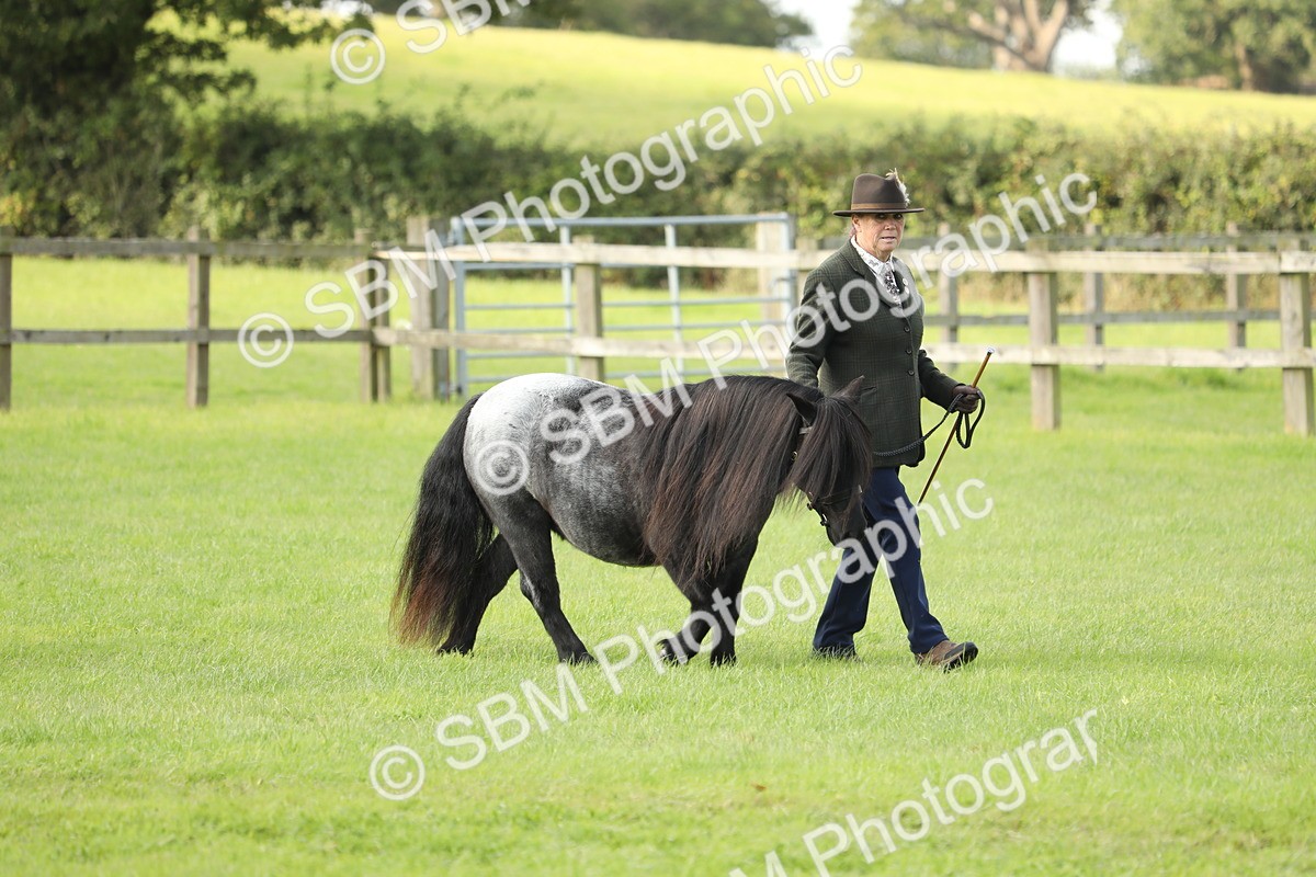 SBM_62376 - S46 - Mountain & Moorland In Hand Small Breeds