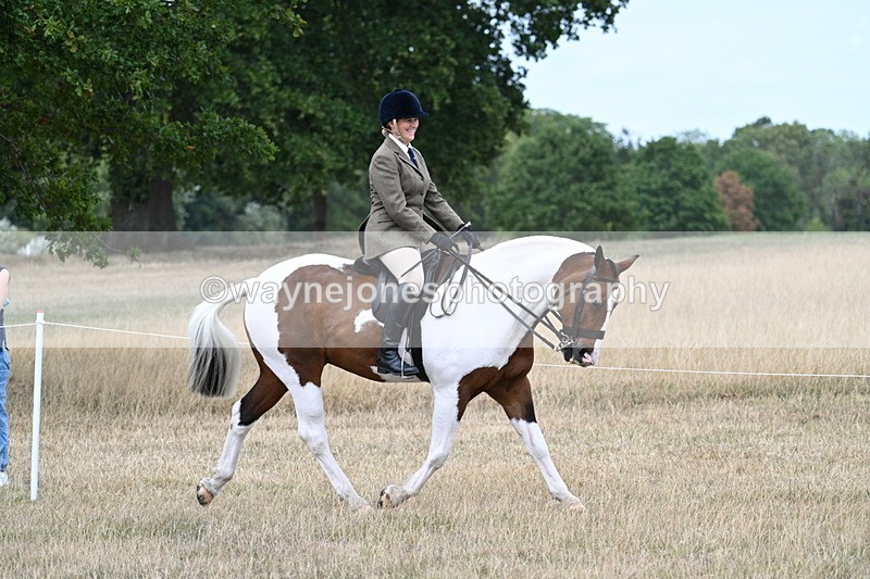 WJ7_4838 - Class 12 Ridden Cob