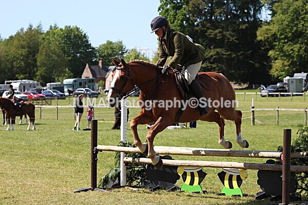 IMG_4576 - Working Hunter