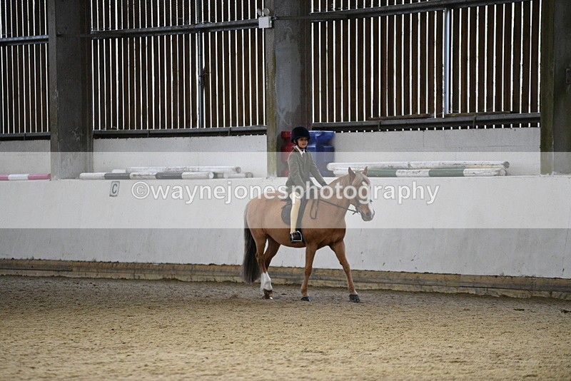 WJ5_8394 - Class 14 Novice Ridden/Rider