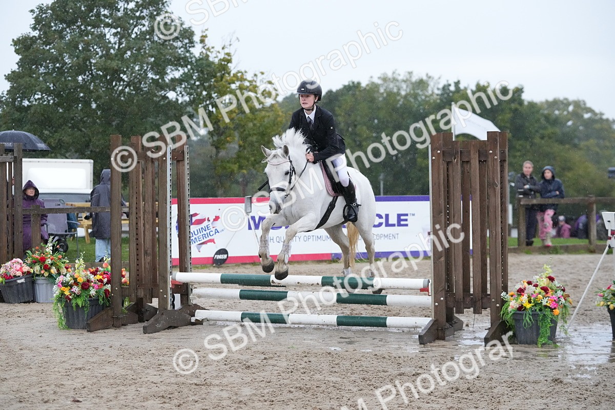 SBM_33558 - J5 - Junior Pony 50cm Championship