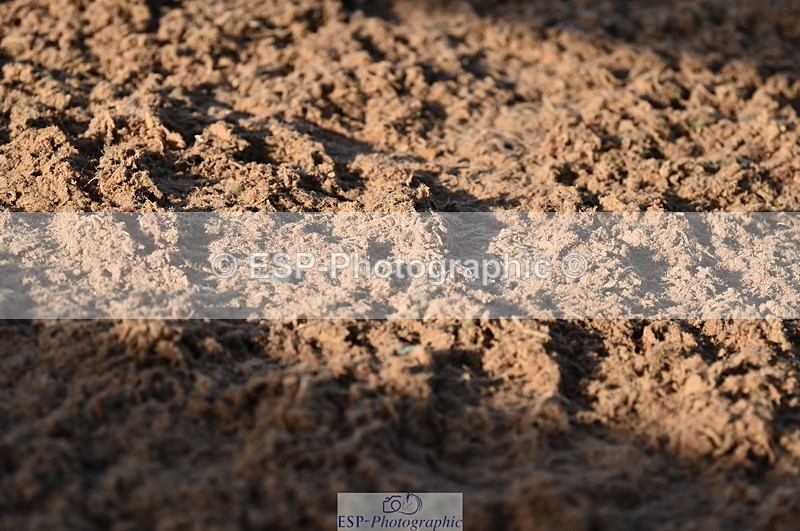 231015A-093144-06735 - Cls 22 British Novice & 90cm Open