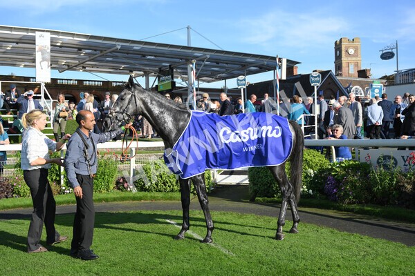yr08102021r3-49 - Race 3 3.15pm Download The Casumo App Today Handicap