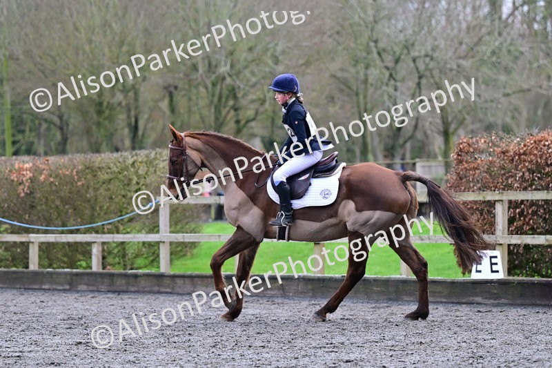 20260125-3978 - Class 12 - Novice