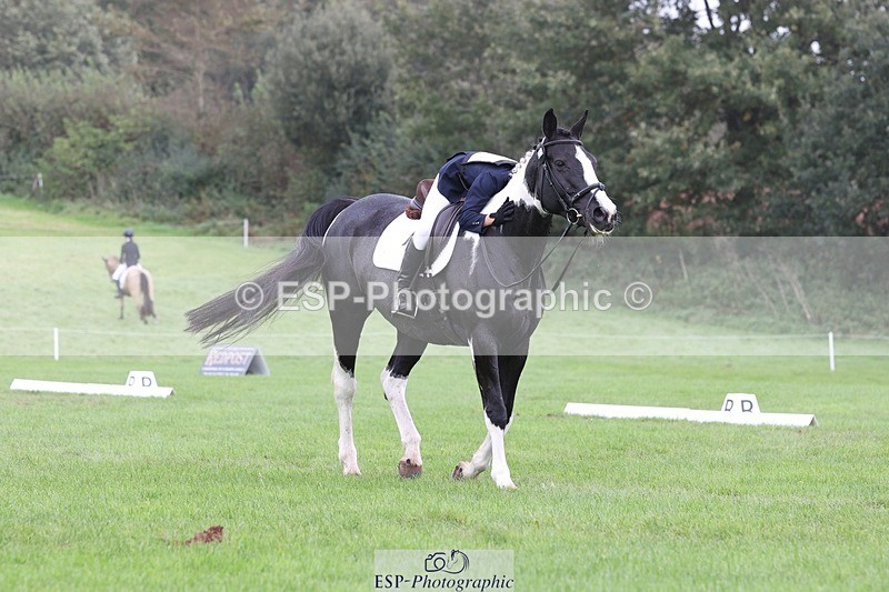 231019-135737-03834 - 438-KILCORBAN.MY.FAIR.LADY-Natasha.Crapper-DR