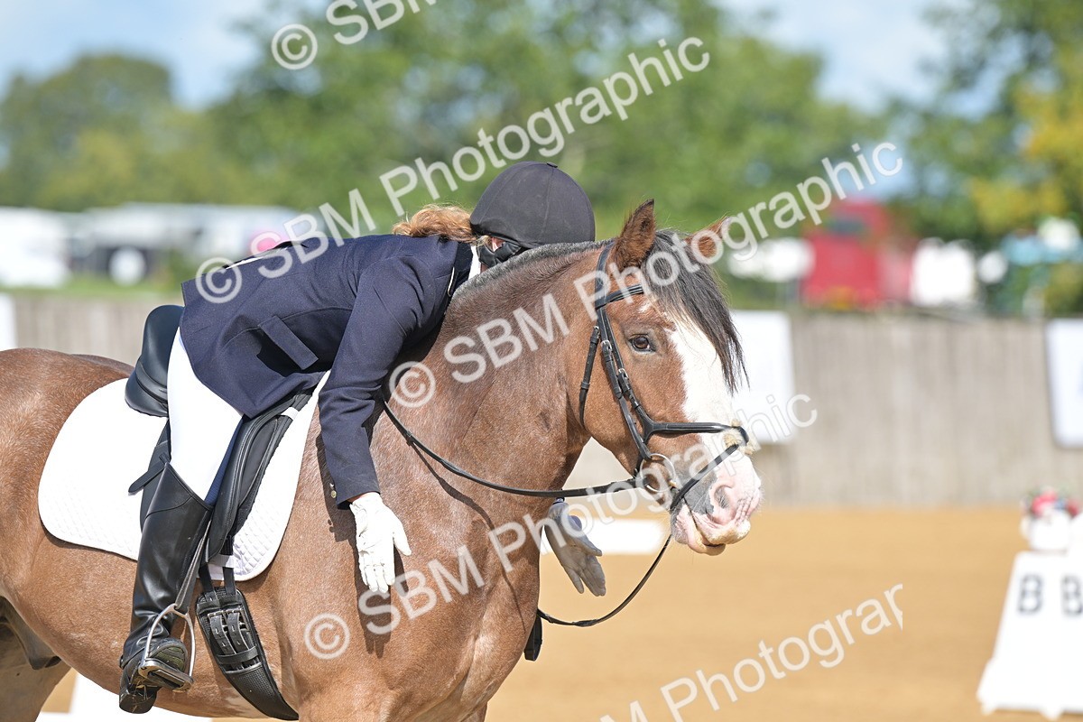 SBM_03919 - D2 - Small Tour Championship Intro 2