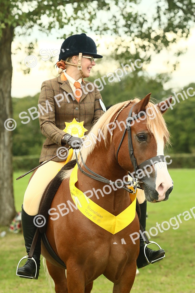 SBM_72305 - S60 - Mountain & Moorland Ridden Large Breeds