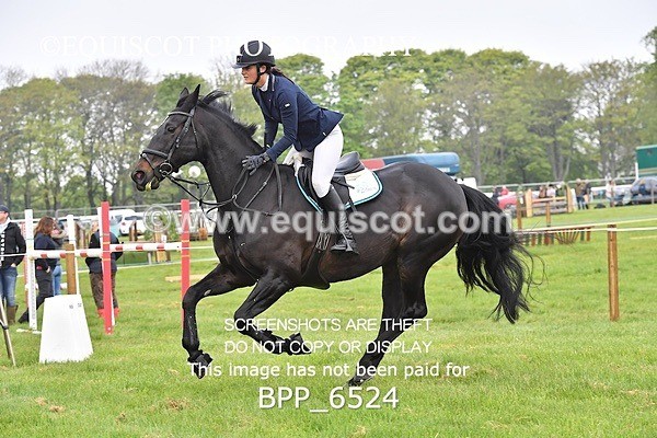 BPP_6524 - CLASS 1 Senior Newcomers/ 1.10m Open