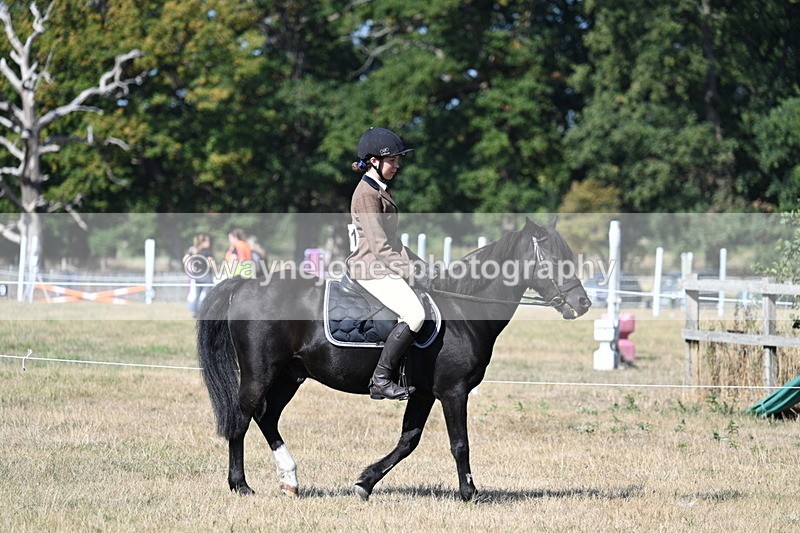 WJ7_3435 - Class 9 Mountain & Moorland Ridden