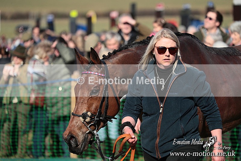 PtP 010325 128 - Beaufort Races Didmarton 01/03/25