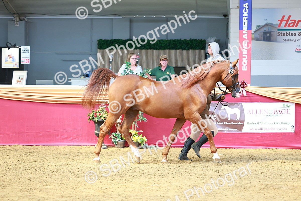 SBM_02264