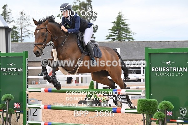 BPP_3686 - CLASS 1 WED Nupafeeds Senior Dicovery/1m open