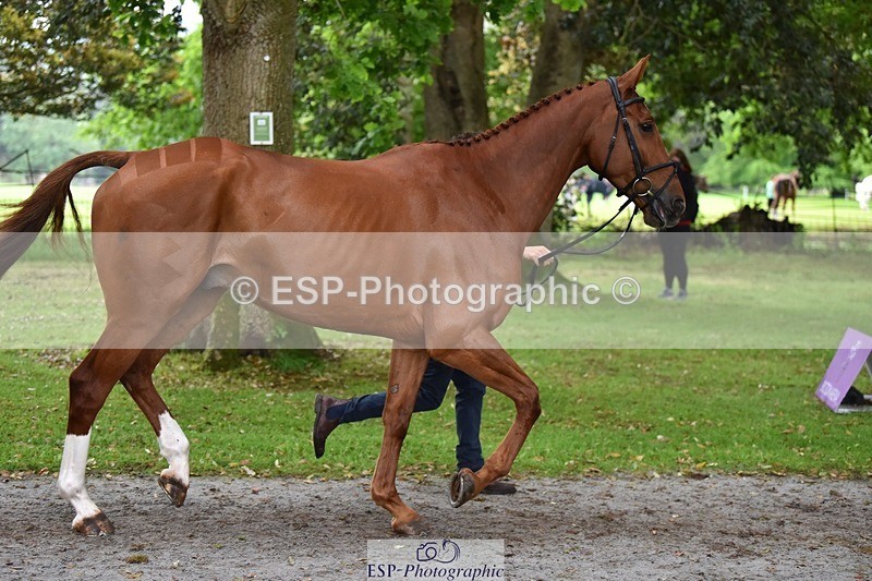 240522-171548-01490 - 280-SHANNONDALE_ARNOLD-Tom_McEwen